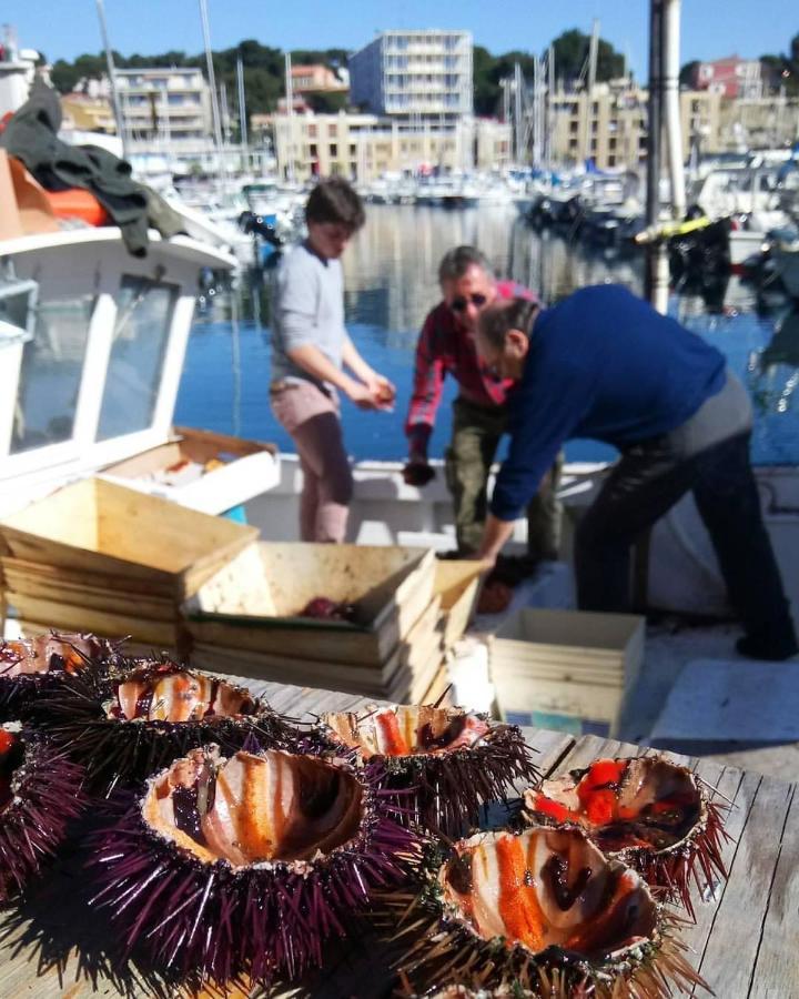 200m De La ,3mn Du Port A 50m Du Centre * Carry-le-Rouet